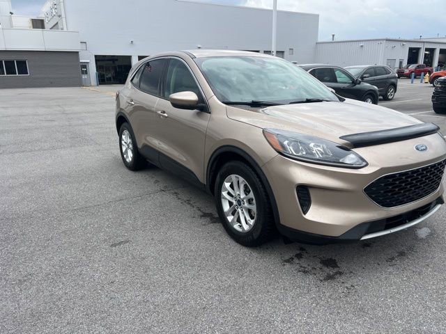 Used 2020 Ford Escape SE image 6