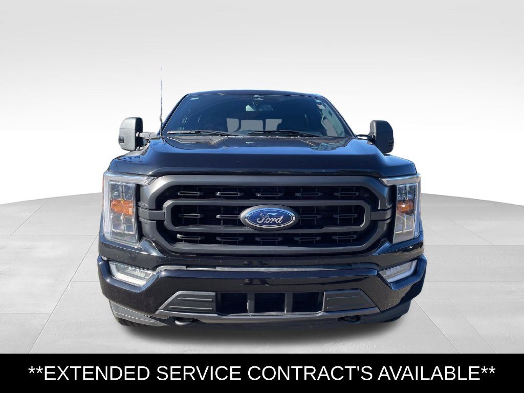 Used 2023 Ford F150 XLT w/ Equipment Group 302A High AWD/4WD image 10