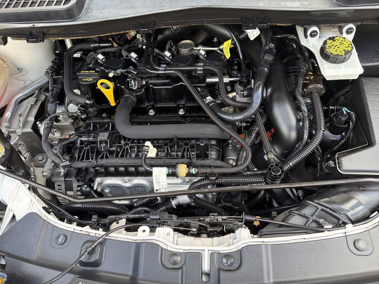 Used 2019 Ford Escape SEL FWD image 11