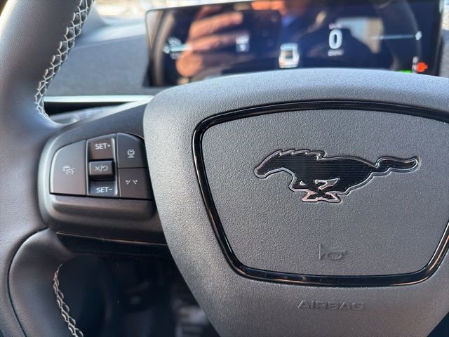 New 2025 Ford Mustang Mach-E GT w/ Bronze Appearance Package image 19
