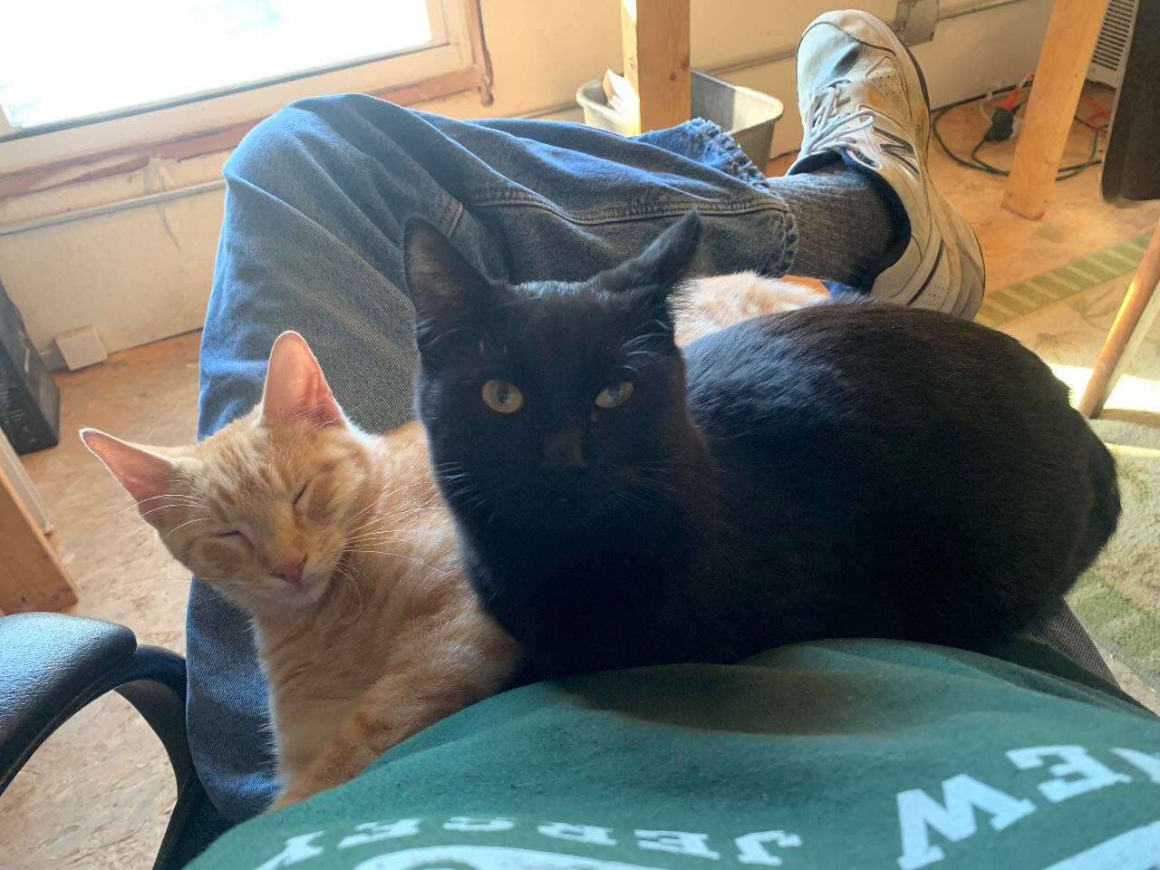 Used 2011 Nissan Versa 1.8 S w/ PWR Plus Pkg image 21