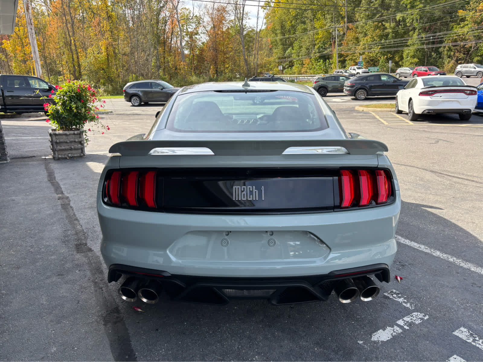 Used 2022 Ford Mustang Mach 1 w/ Equipment Group 700A RWD image 7
