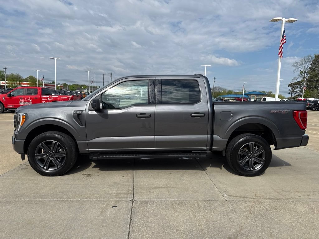 Used 2023 Ford F150 XLT w/ Equipment Group 302A High AWD/4WD image 3