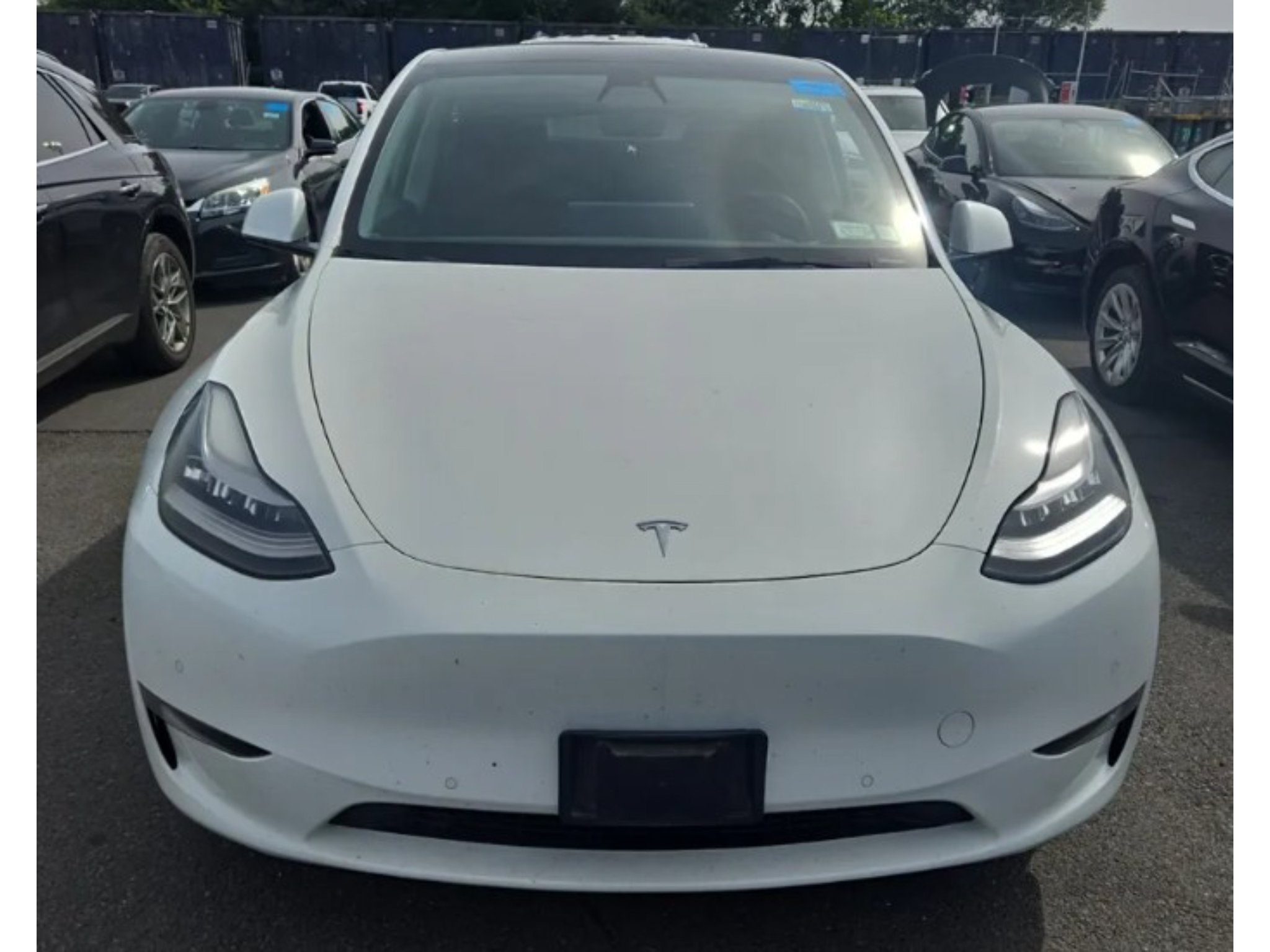 Used 2021 Tesla Model Y Long Range AWD/4WD image 2