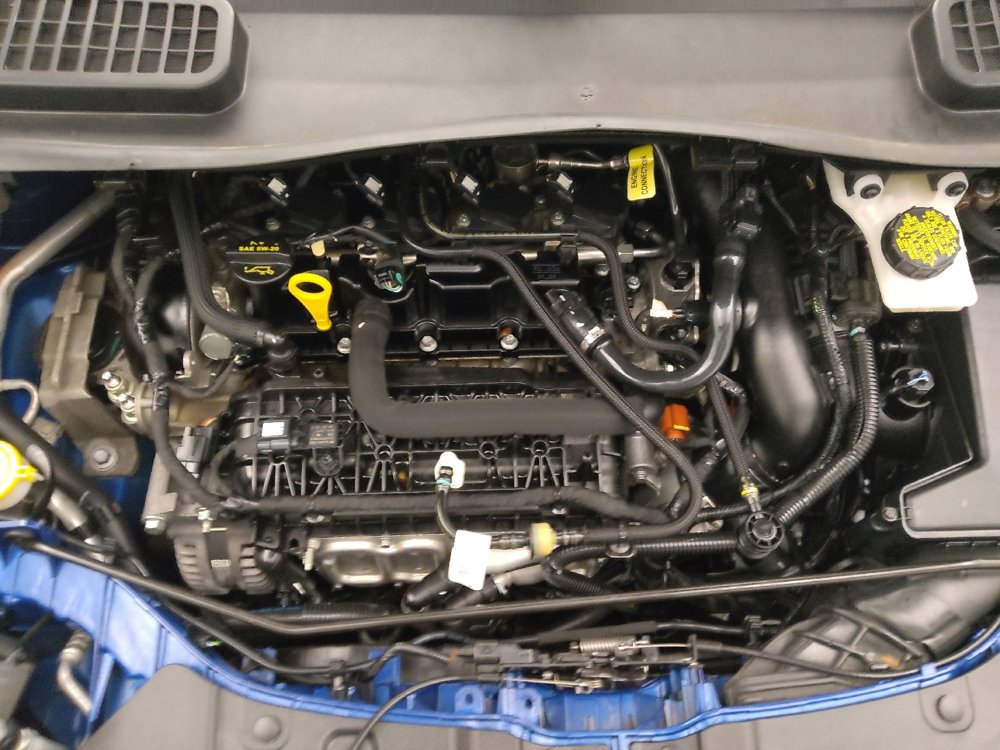 Used 2019 Ford Escape SEL image 30