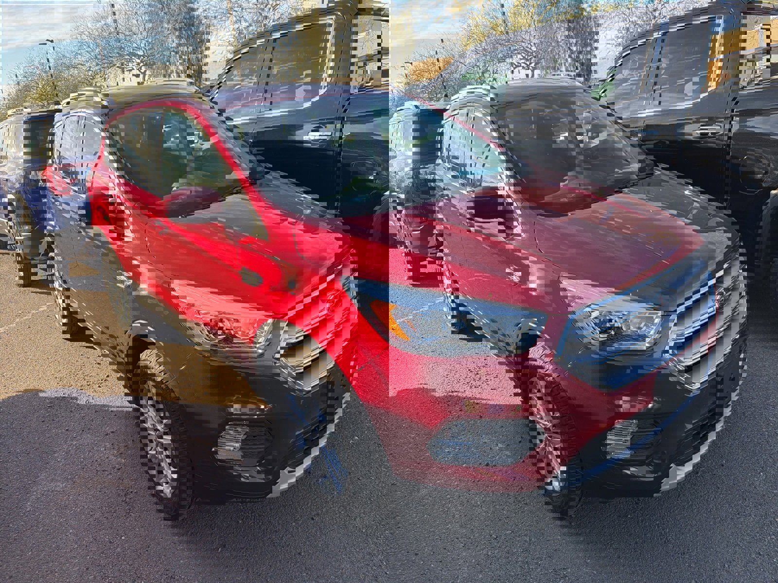 Used 2017 Ford Escape SE w/ SE Leather Comfort Package image 3