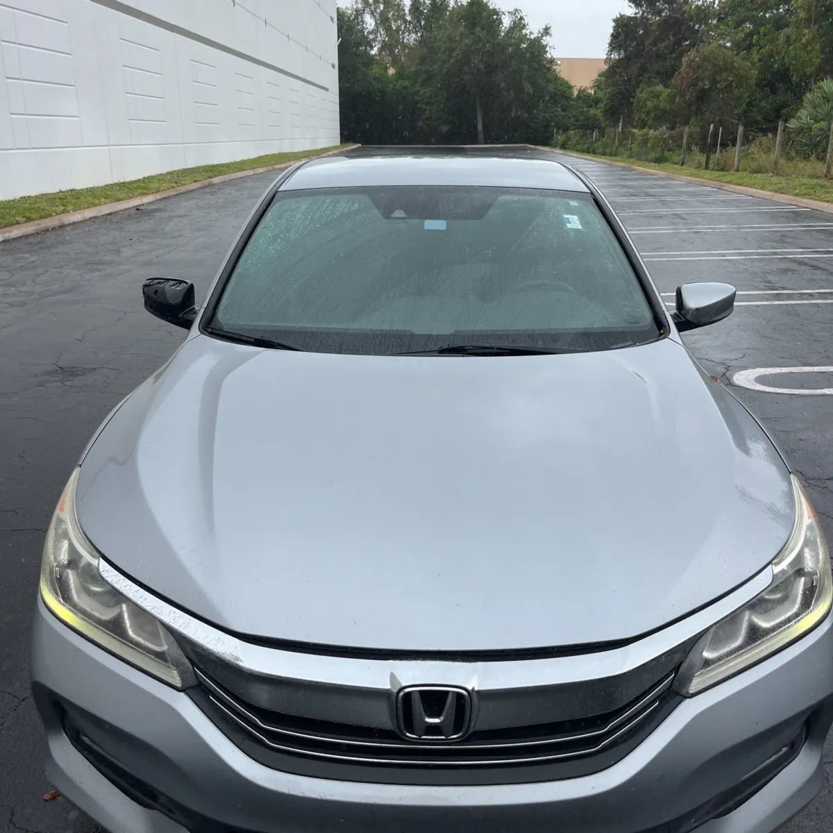 Used 2017 Honda Accord Sport image 15