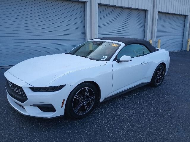 Used 2025 Ford Mustang Premium RWD image 2