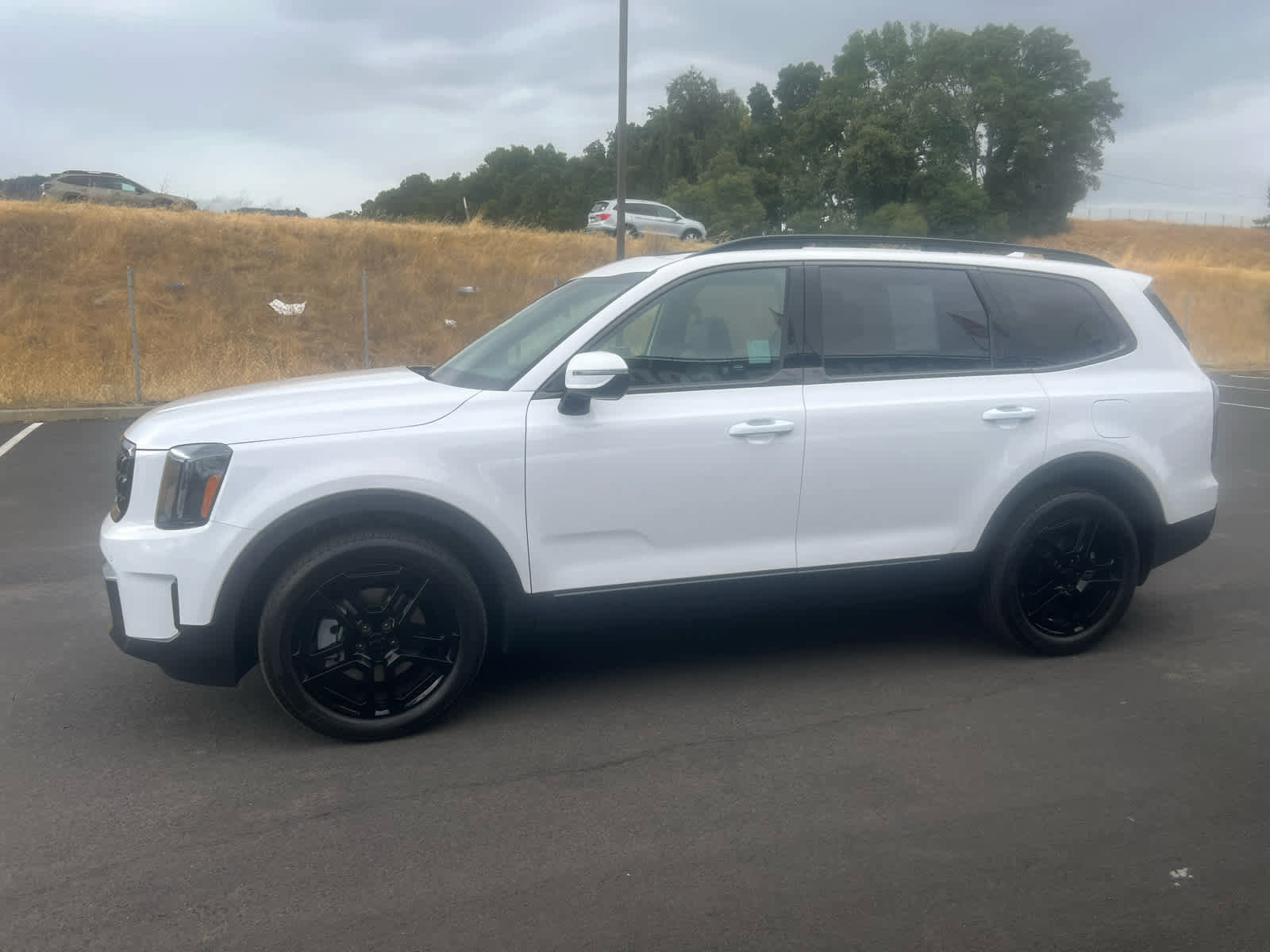 Used 2025 Kia Telluride SX X-Line image 7