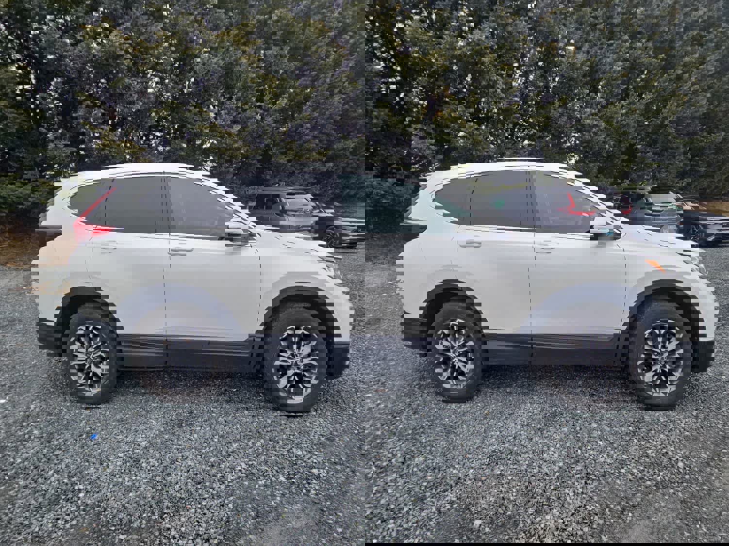 Used 2022 Honda CR-V EX image 5