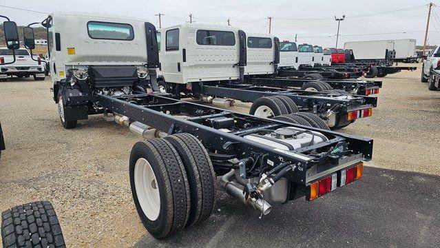 New 2024 Chevrolet Low Cab Forward 5500XG RWD image 8