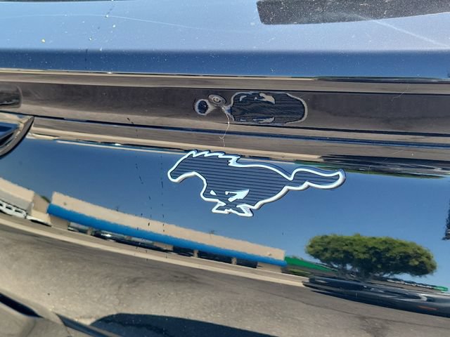 New 2026 Ford Mustang Mach-E Premium w/ Technology Package RWD image 8