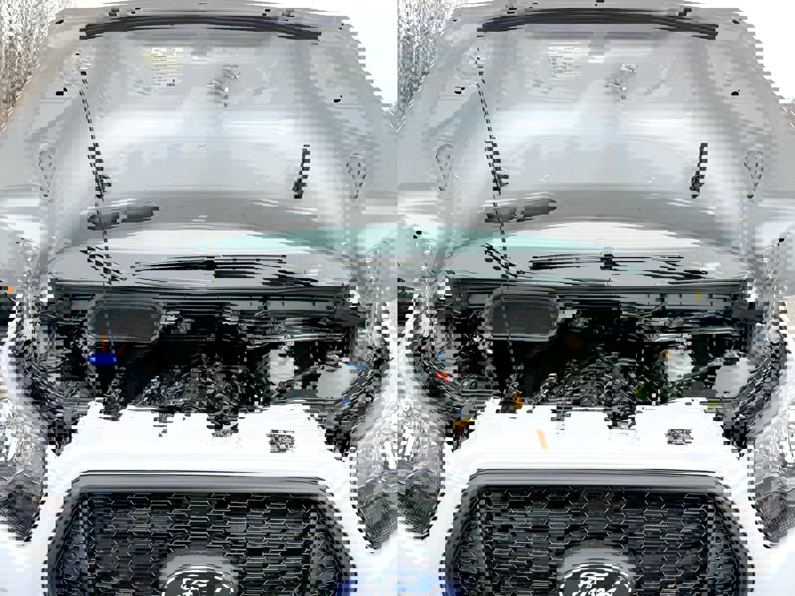 New 2026 Ford Transit 350 148 High Roof Extended w/ Load Area Protection Package image 53