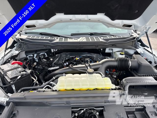 New 2025 Ford F150 XLT w/ Equipment Group 302A MID image 28