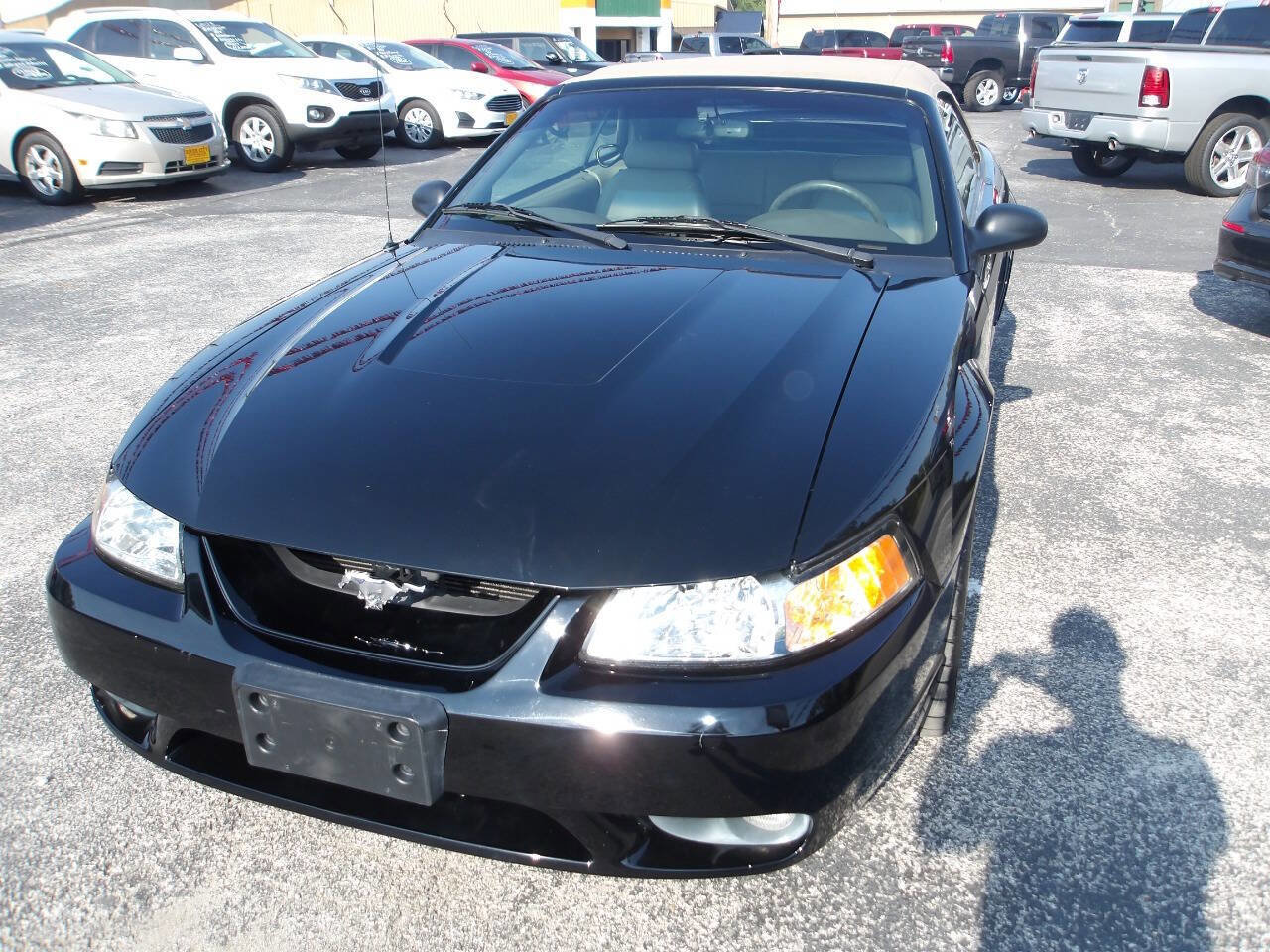 Used 1999 Ford Mustang Cobra image 9