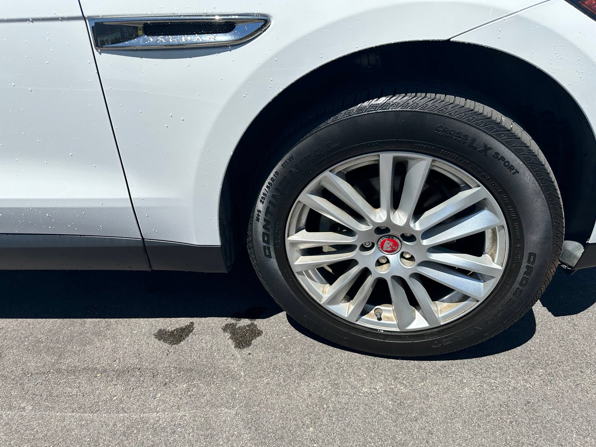 Used 2019 Jaguar F-PACE Prestige AWD/4WD image 10