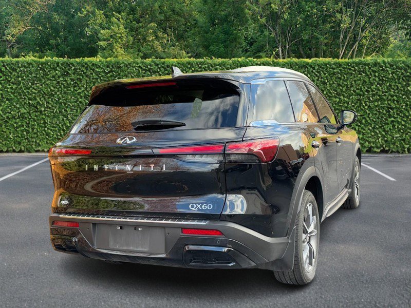 Used 2023 INFINITI QX60 Luxe w/ Cargo Package image 3