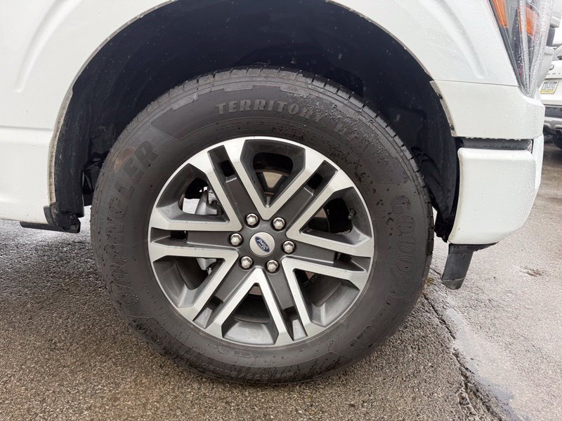 Used 2023 Ford F150 XL w/ STX Appearance Package AWD/4WD image 11
