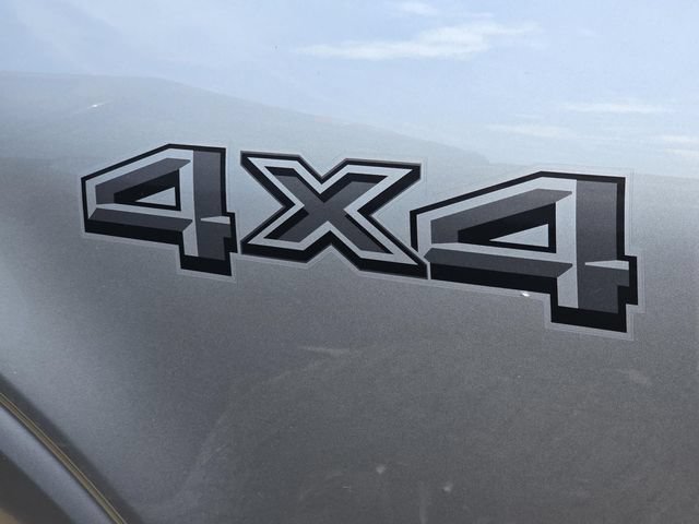Used 2025 Ford F150 XLT w/ Equipment Group 301A Standard AWD/4WD image 28