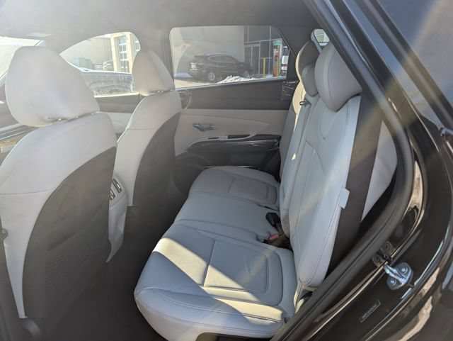 New 2026 Hyundai Tucson Limited AWD/4WD image 10