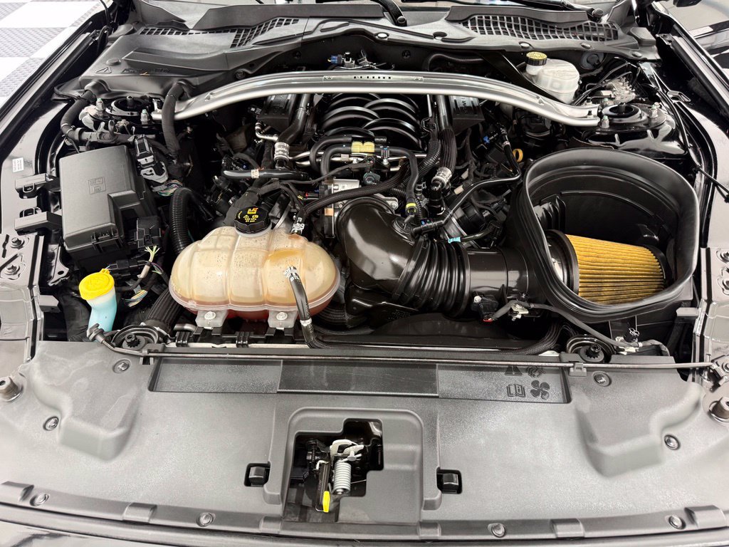 Used 2019 Ford Mustang Bullitt RWD image 10