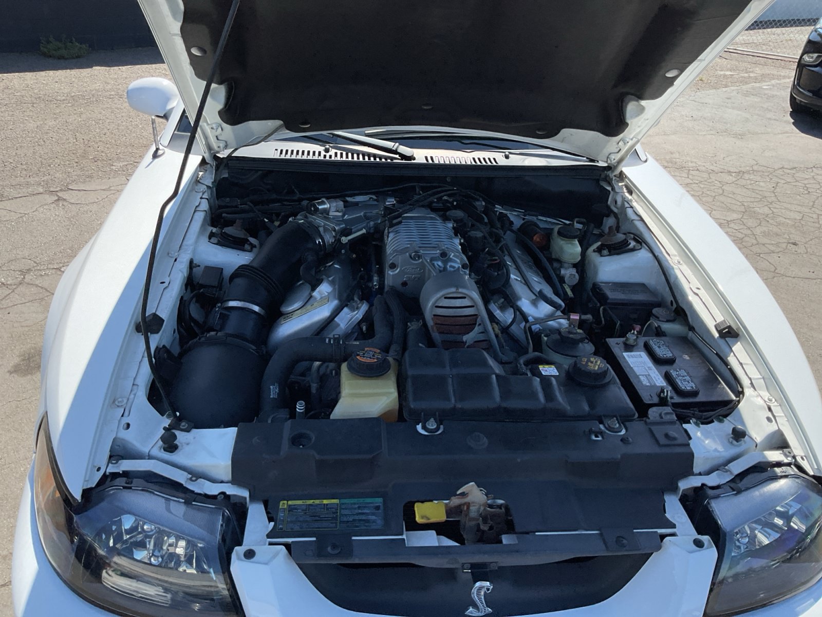 Used 2004 Ford Mustang Cobra RWD image 22