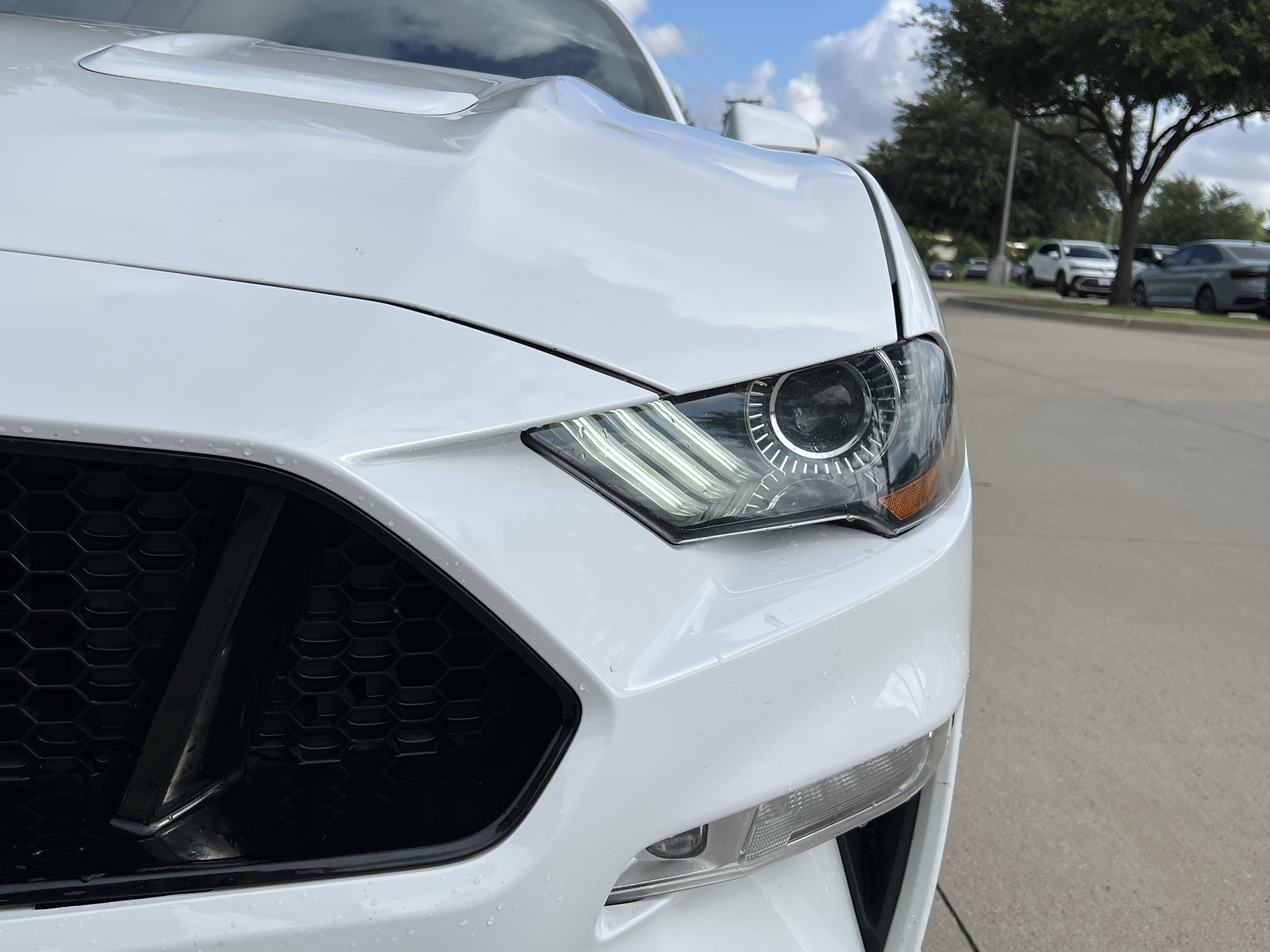 Used 2019 Ford Mustang GT Premium RWD image 5