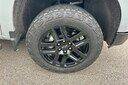 Used 2024 Chevrolet Silverado 1500 LT Trail Boss w/ Convenience Package II AWD/4WD image 6