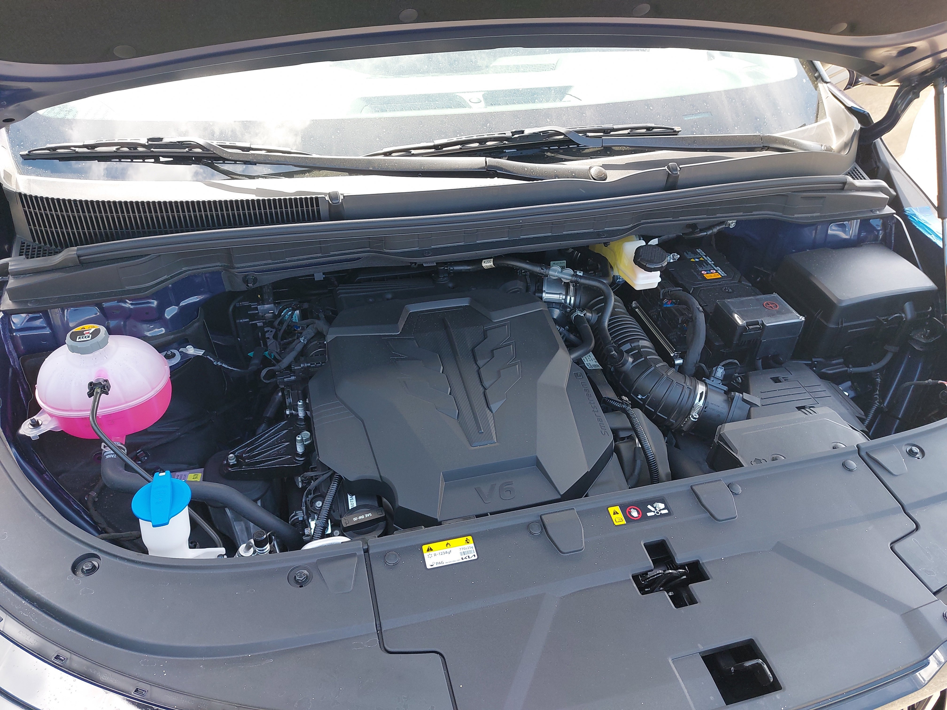 New 2026 Kia Carnival image 32