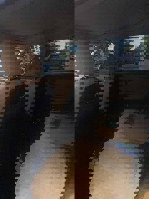 Used 2022 Nissan Rogue Platinum w/ Head-Up Display Package image 21