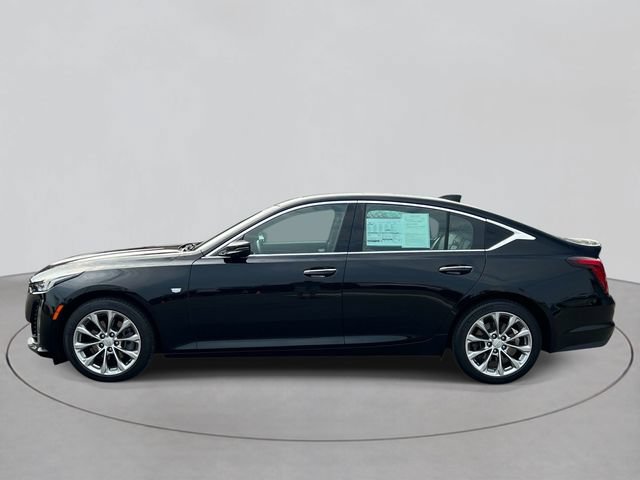 Used 2022 Cadillac CT5 Premium Luxury w/ Climate Package AWD/4WD image 2