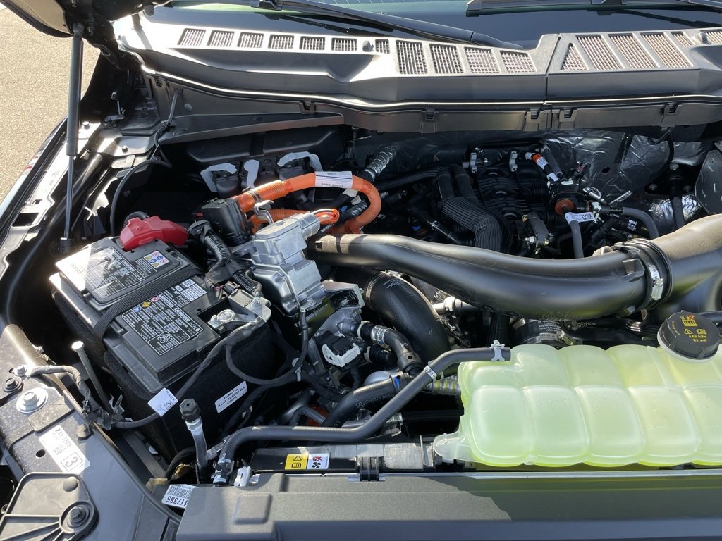 New 2025 Ford F150 XLT w/ Equipment Group 302A MID image 42