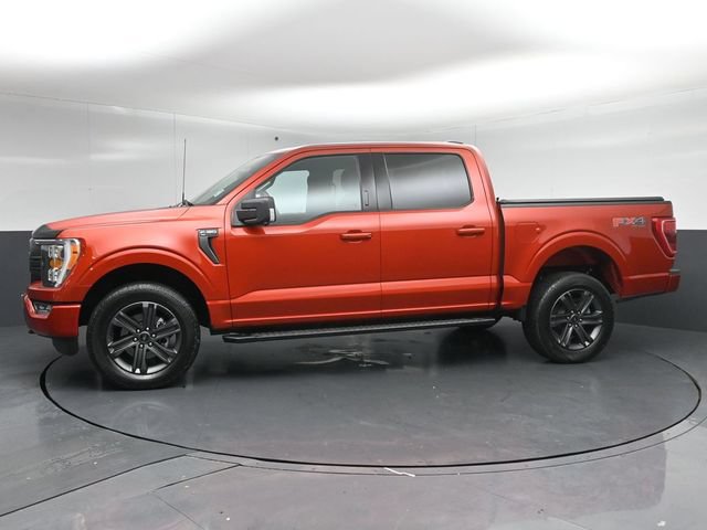 Certified 2023 Ford F150 XLT w/ Equipment Group 302A High AWD/4WD image 4