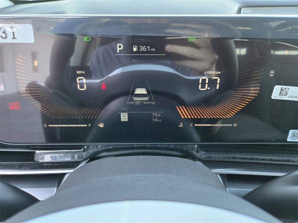 New 2026 Kia Carnival image 10