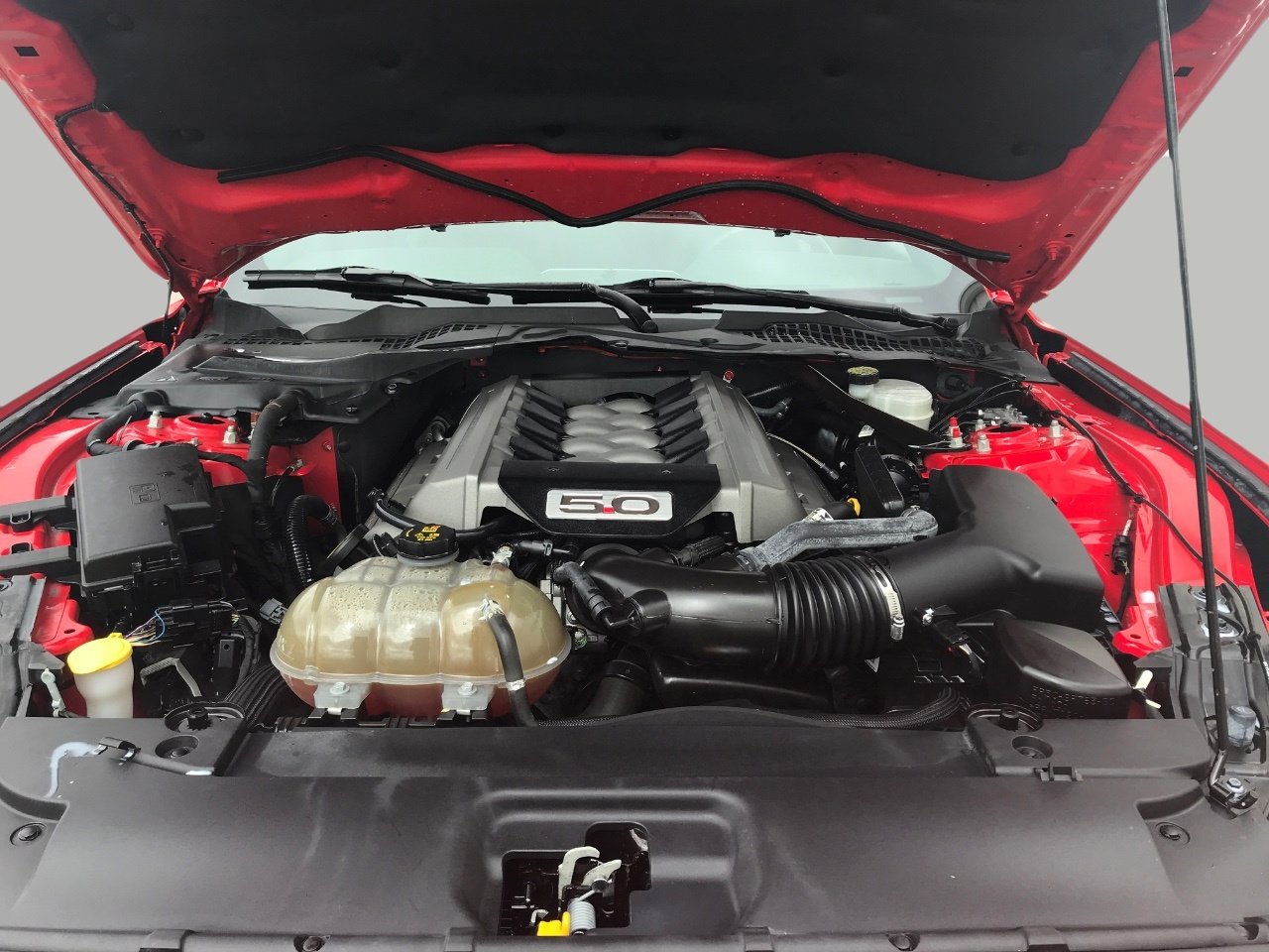 Used 2015 Ford Mustang GT Premium w/ Equipment Group 401A RWD image 7