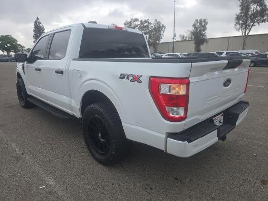 Used 2023 Ford F150 XL w/ STX Appearance Package RWD image 6