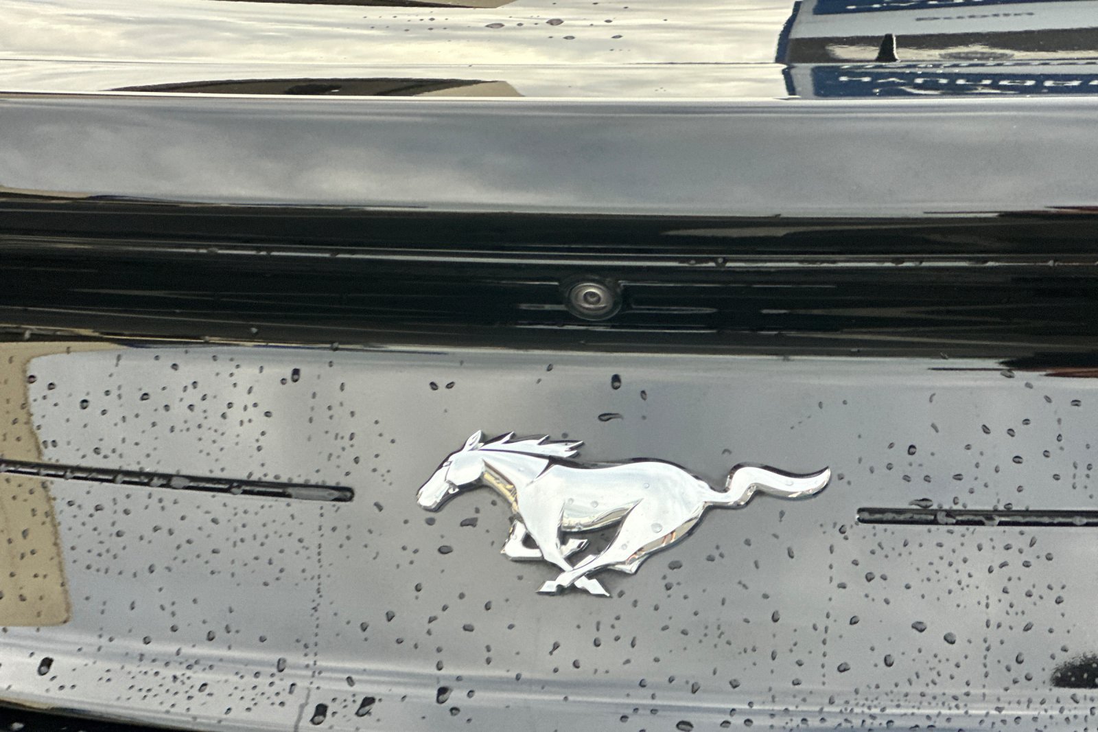 Used 2022 Ford Mustang Coupe RWD image 25