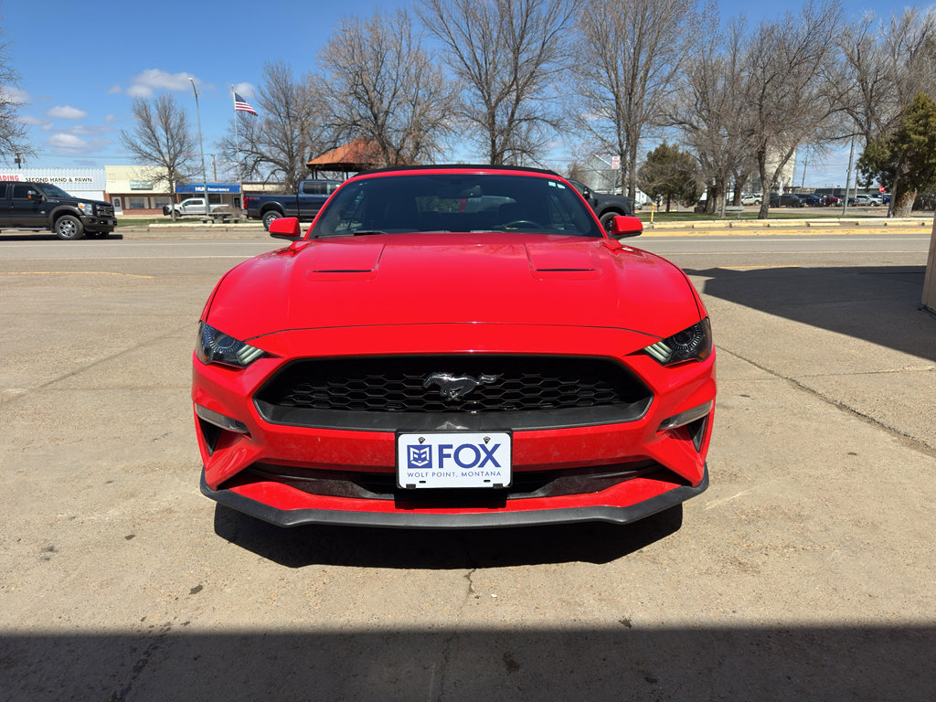 Used 2019 Ford Mustang Premium RWD image 6
