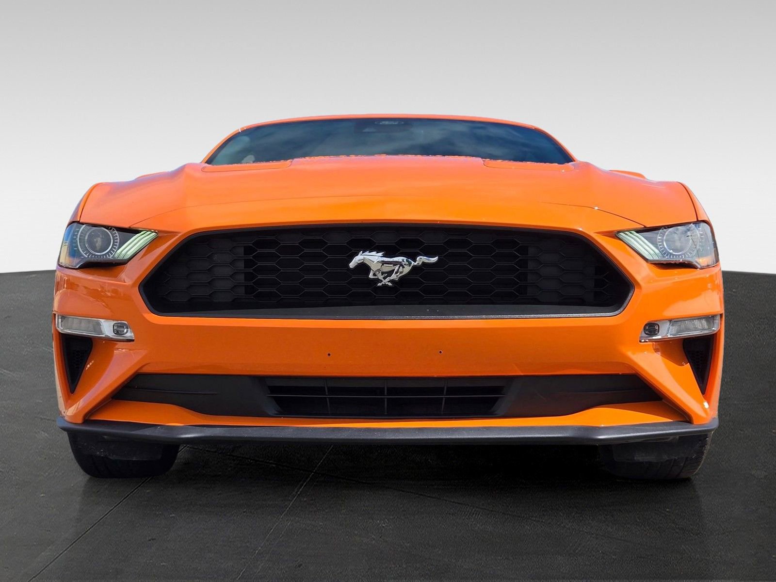 Used 2021 Ford Mustang Premium image 8