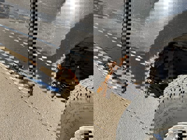 Used 2013 Ford F150 XLT w/ XLT Chrome Pkg image 6