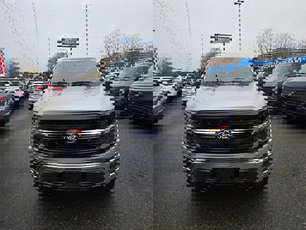 Used 2024 Ford F150 XLT w/ Mobile Office Package image 2