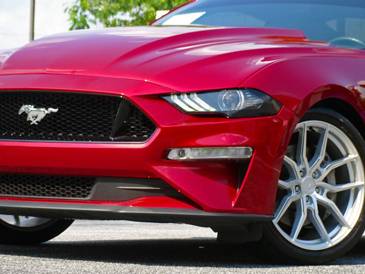 Used 2019 Ford Mustang GT Premium w/ Equipment Group 401A RWD image 7