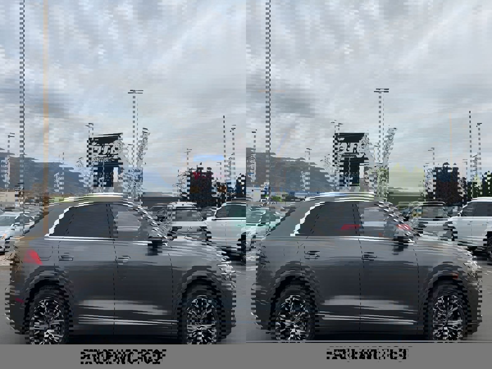 New 2025 Audi Q8 Premium Plus image 3