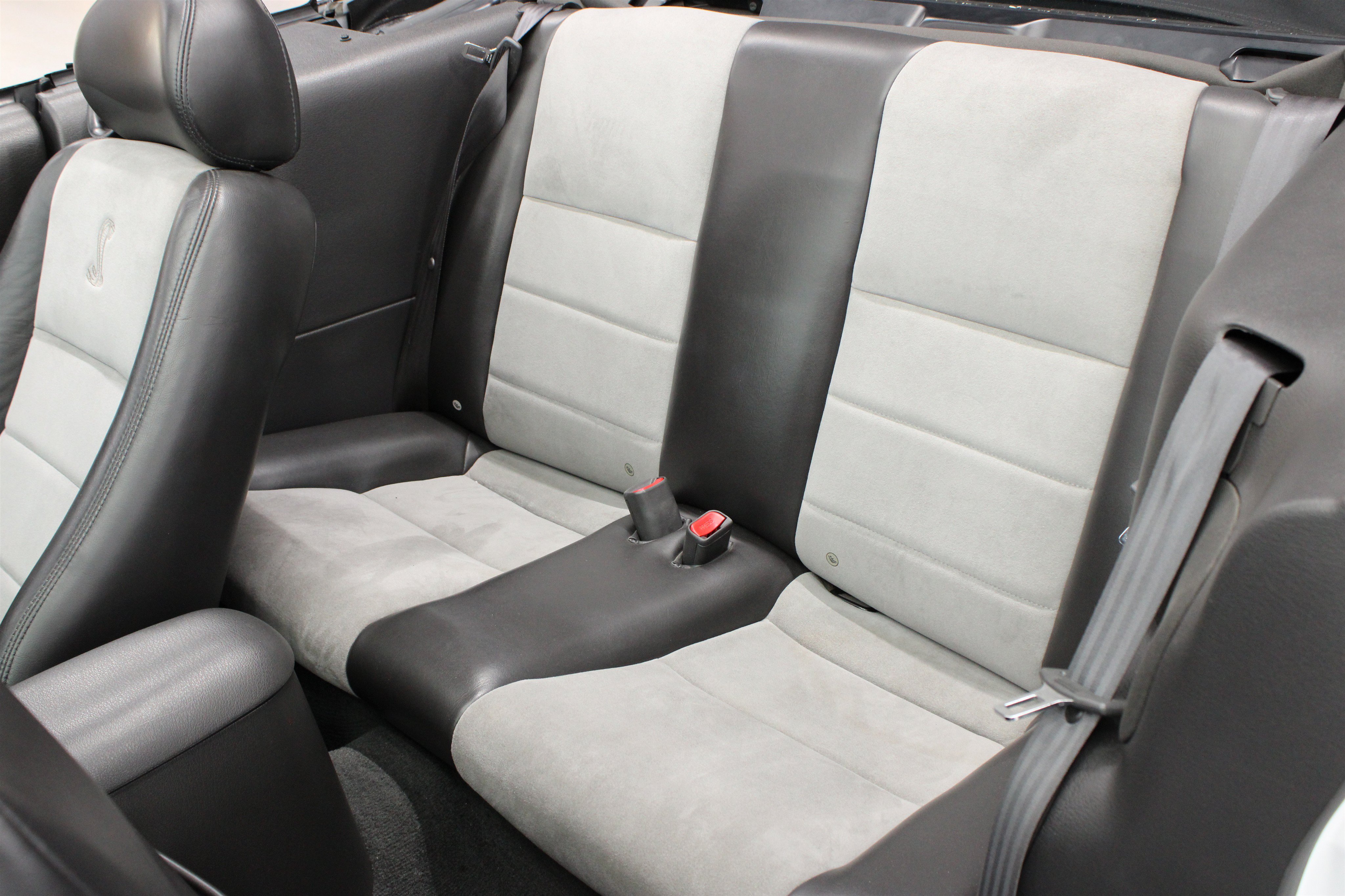 Used 2004 Ford Mustang Cobra RWD image 17