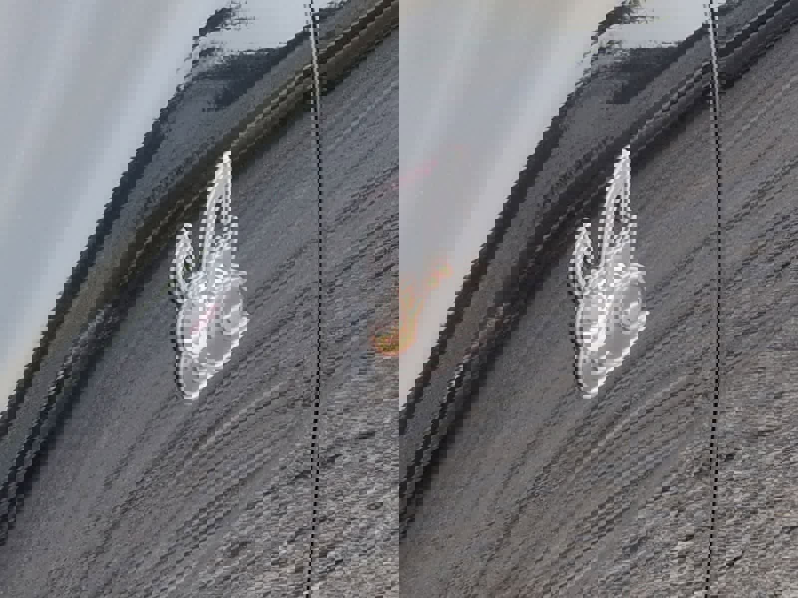 New 2026 Dodge Charger Daytona Scat Pack image 13