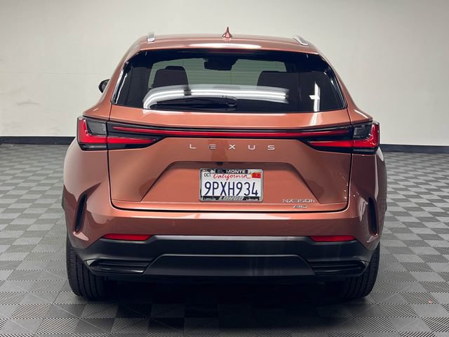 Certified 2025 Lexus NX 350h AWD w/ Cold Area Package image 6