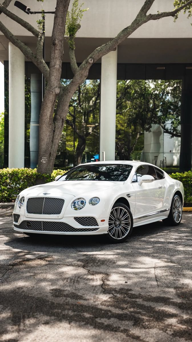 Used 2017 Bentley Continental GT Speed AWD/4WD image 2