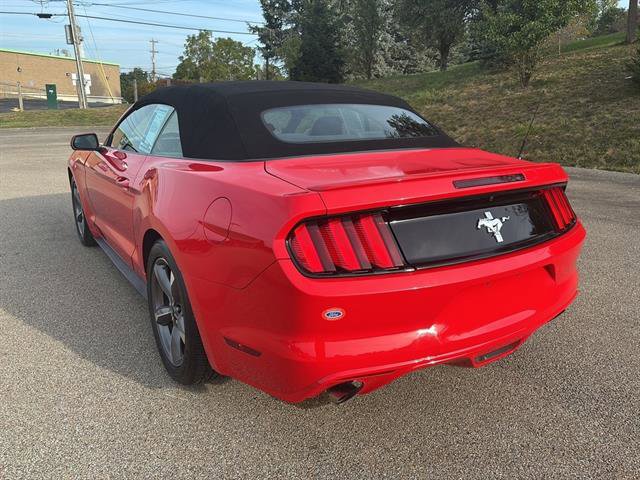 Used 2015 Ford Mustang Convertible w/ Equipment Group 051A image 2