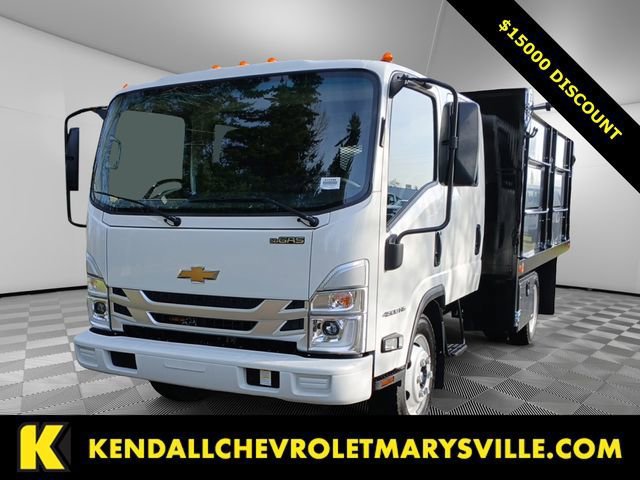 New 2025 Chevrolet Low Cab Forward