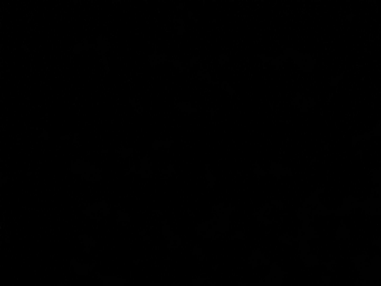 Used 2024 INFINITI Q50 Sensory image 10